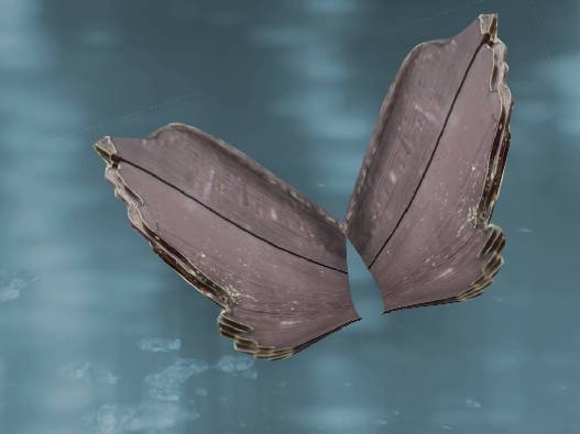 Creation of Butterfly: Step 4